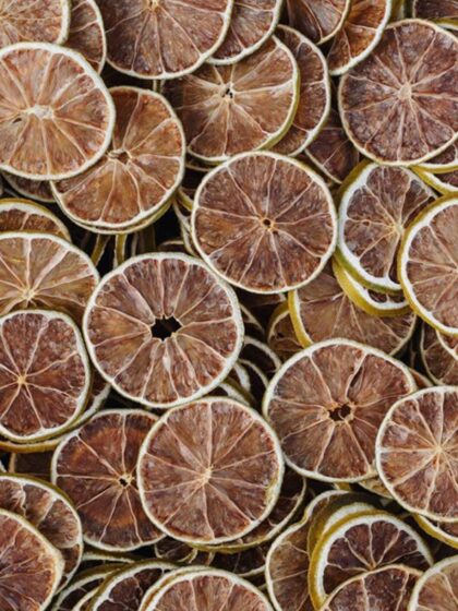 Botanic & Fruits sachet de tranches de citrons verts séchés