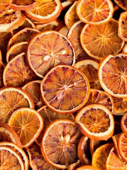Botanic & Fruits sachet de tranches d'oranges sanguines séchées