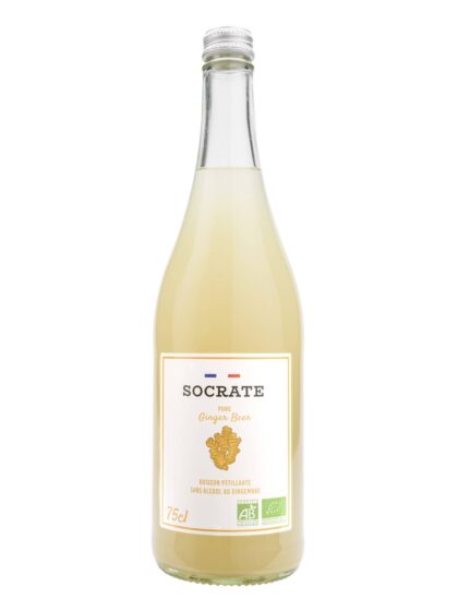 Socrate Ginger Beer bio